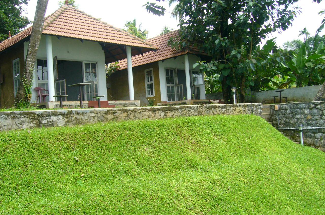 Lazy Gaze Kochi Bagian luar foto